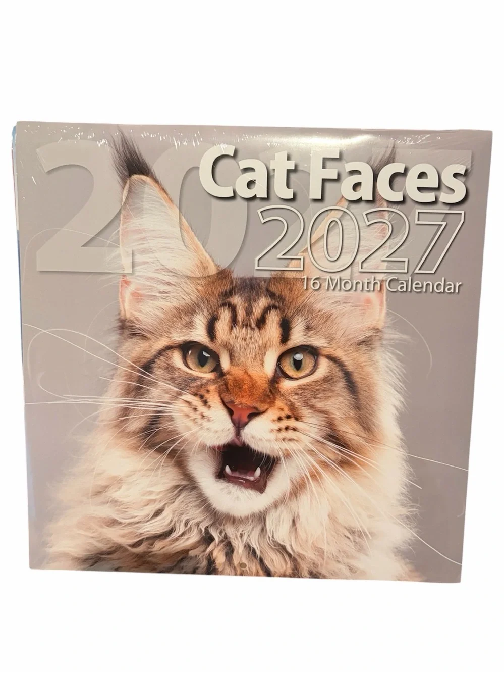 Cat Faces 2027 16 Month Cat Calendar